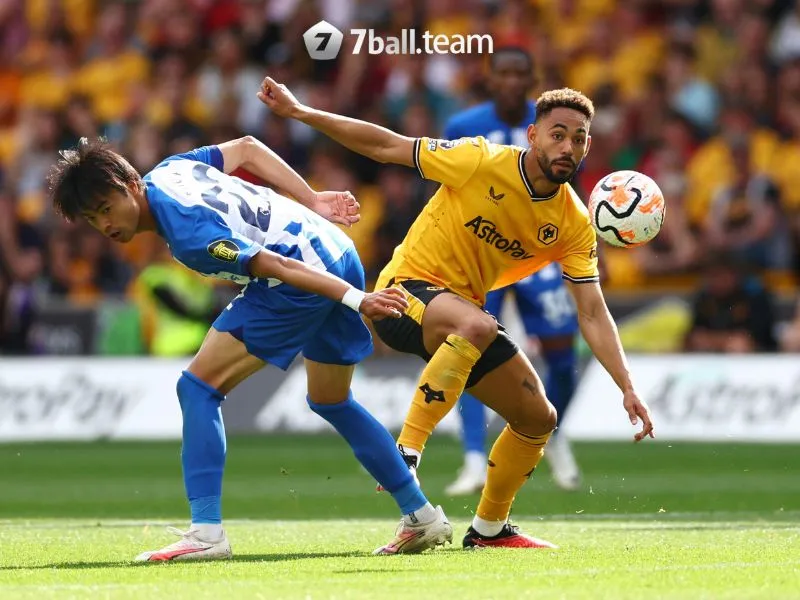 Soi kèo Brighton & Hove Albion vs Wolverhampton Wanderers 02:45 23/01 giải Ngoại hạng Anh 6 Lịch sử đối đầu Brighton vs Wolves