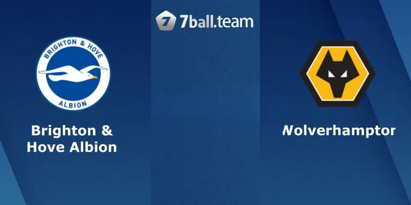 Soi kèo Brighton & Hove Albion vs Wolverhampton Wanderers 02:45 23/01 giải Ngoại hạng Anh 5 Phân tích phong độ Brighton vs Wolves