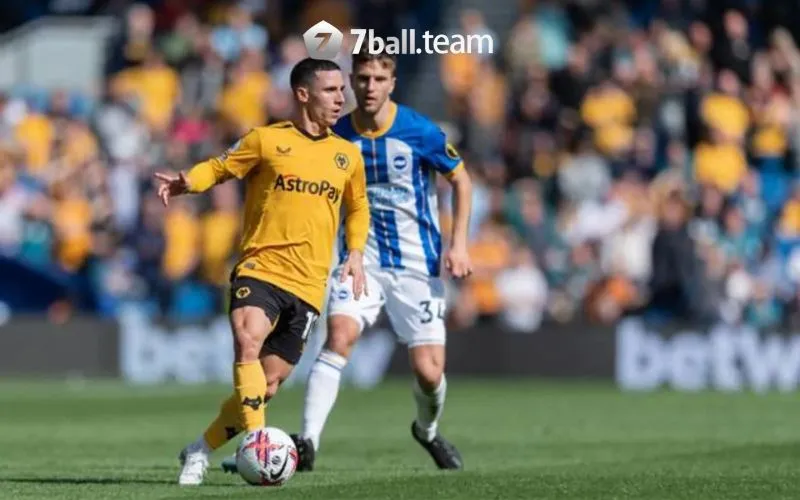 Soi kèo Brighton & Hove Albion vs Wolverhampton Wanderers 02:45 23/01 giải Ngoại hạng Anh 8 Soi kèo Brighton & Hove Albion vs Wolverhampton Wanderers 23/01